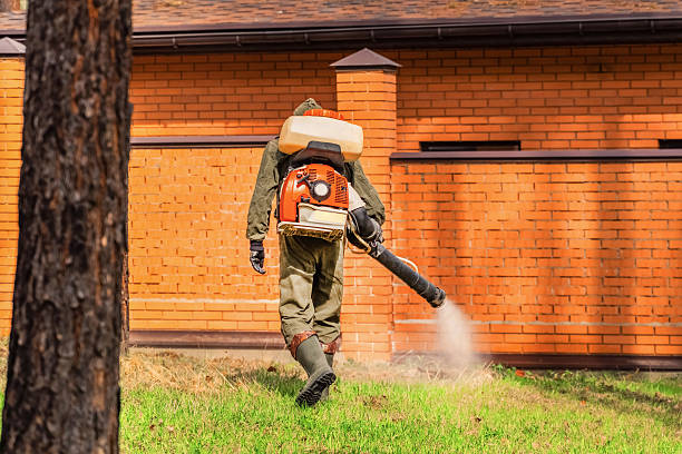 Trusted Emergency Pest Control service in Schwenksville, PA - Nex Pest Control